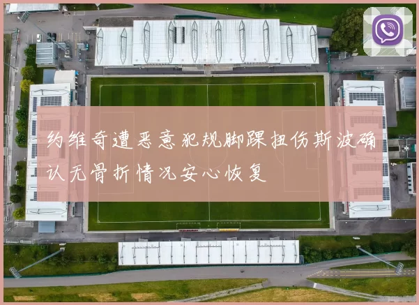 约维奇遭恶意犯规脚踝扭伤斯波确认无骨折情况安心恢复